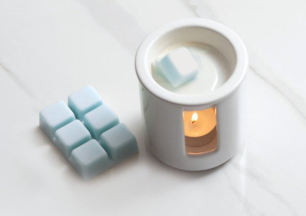 Wax Melts & Warmers - fineandsandy