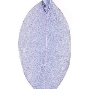 Pure Leaf Necklace - Lilac - fineandsandy